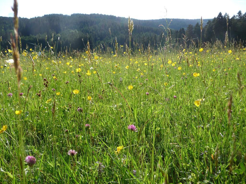 Fewo-Barbara-Rust Exteriör bild